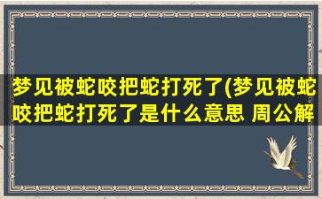 梦见被蛇咬把蛇打死了(梦见被蛇咬把蛇打死了是什么意思 周公解梦)